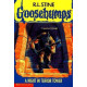 A Night in Terror Tower by ''R.L. Stine''